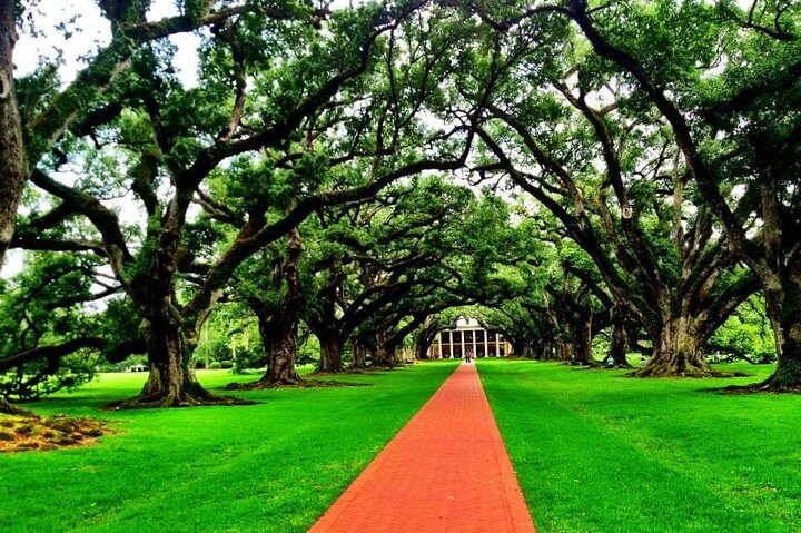 Private Historic Louisiana Plantation Tour  - Photo 1 of 9